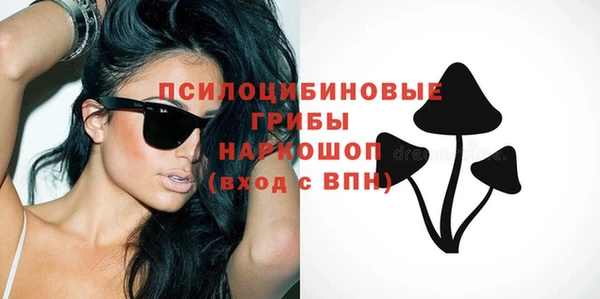 прущий лед Михайловск