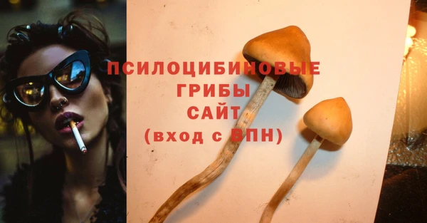 хмурый Михайлов