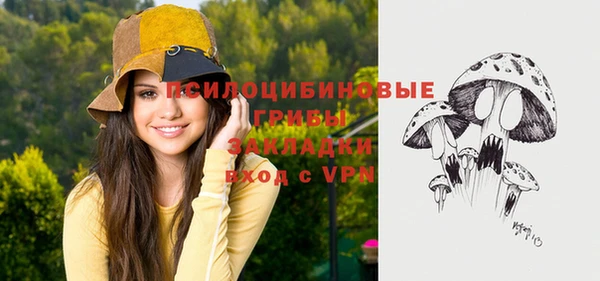 прущий лед Михайловск