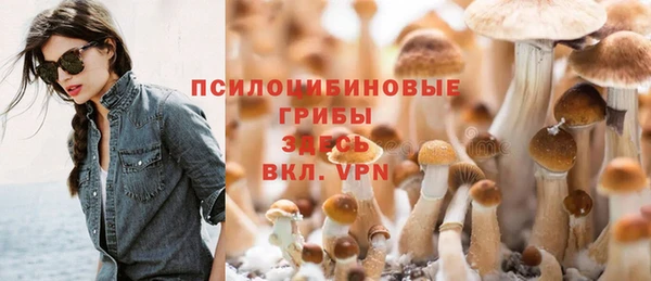 хмурый Михайлов