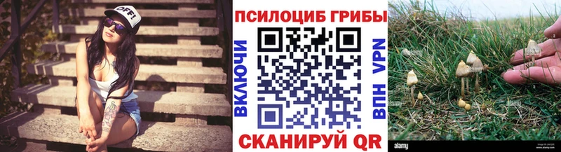 Галлюциногенные грибы мухоморы  omg зеркало  Благовещенск 